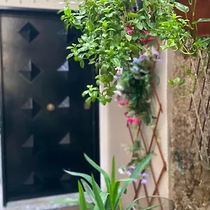 https://il-vicoletto-naples-80135.hotels-amalfi.com